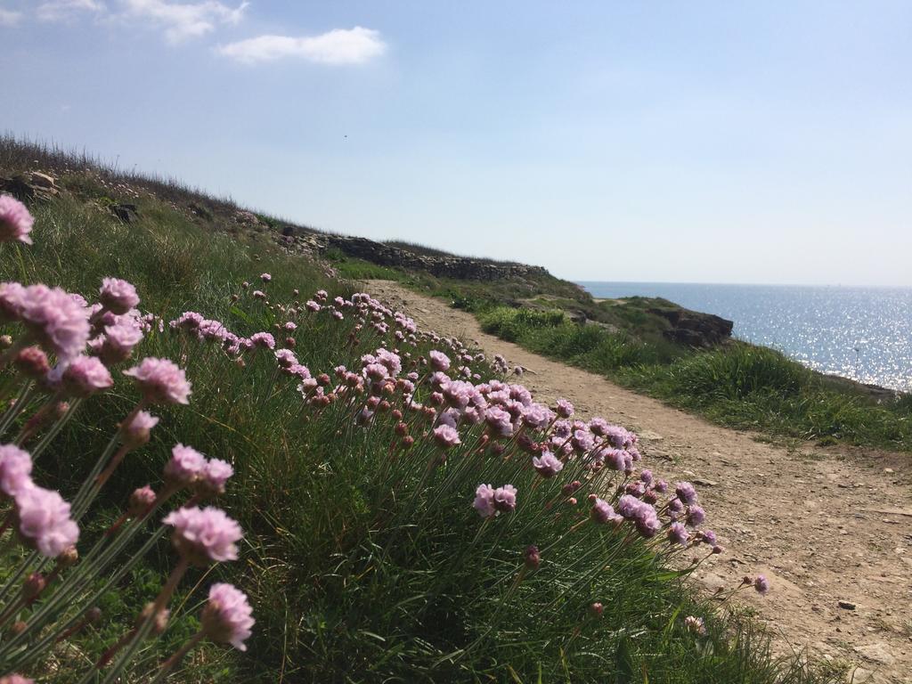 La Belle Relax - Calme Et Tranquillite Assures - 2 Personnes Bed & Breakfast Moëlan-sur-Mer Eksteriør bilde