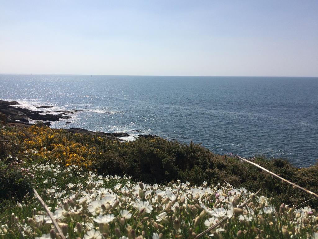 La Belle Relax - Calme Et Tranquillite Assures - 2 Personnes Bed & Breakfast Moëlan-sur-Mer Eksteriør bilde
