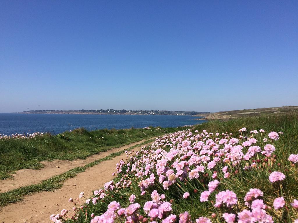 La Belle Relax - Calme Et Tranquillite Assures - 2 Personnes Bed & Breakfast Moëlan-sur-Mer Eksteriør bilde